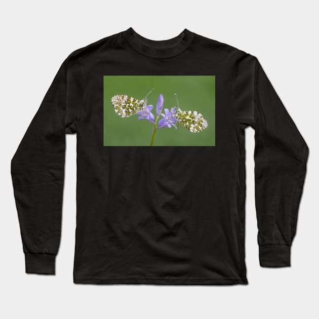 Two Orange Tip Butterflies on a Bluebell Flower Long Sleeve T-Shirt by TonyNorth